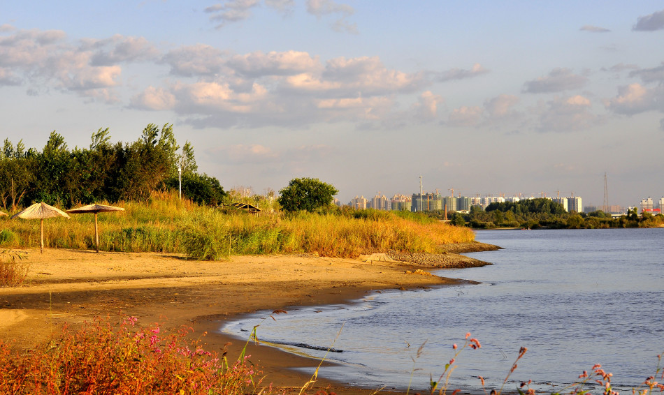 最美湿地排行榜之金河湾湿地