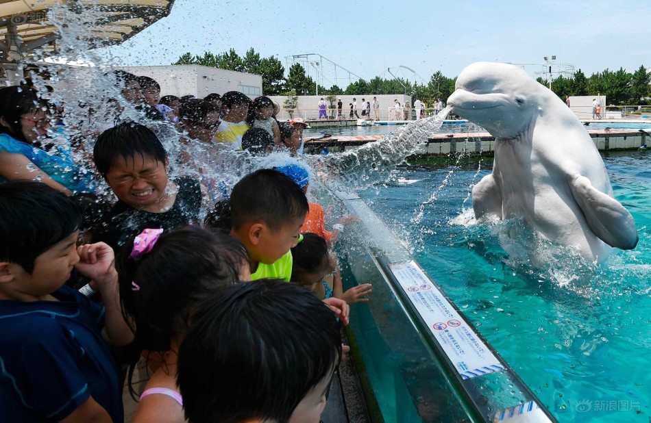 水族有多少人口_三月三 感受浓浓广西民族风 一(3)