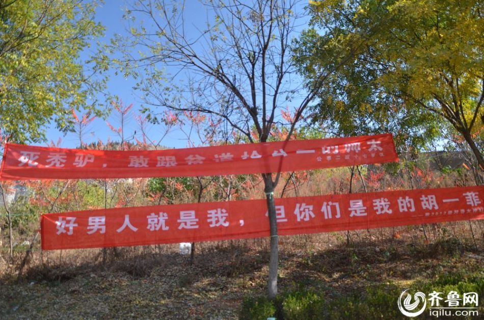 盘点奇葩搞笑标语横幅_新浪图片