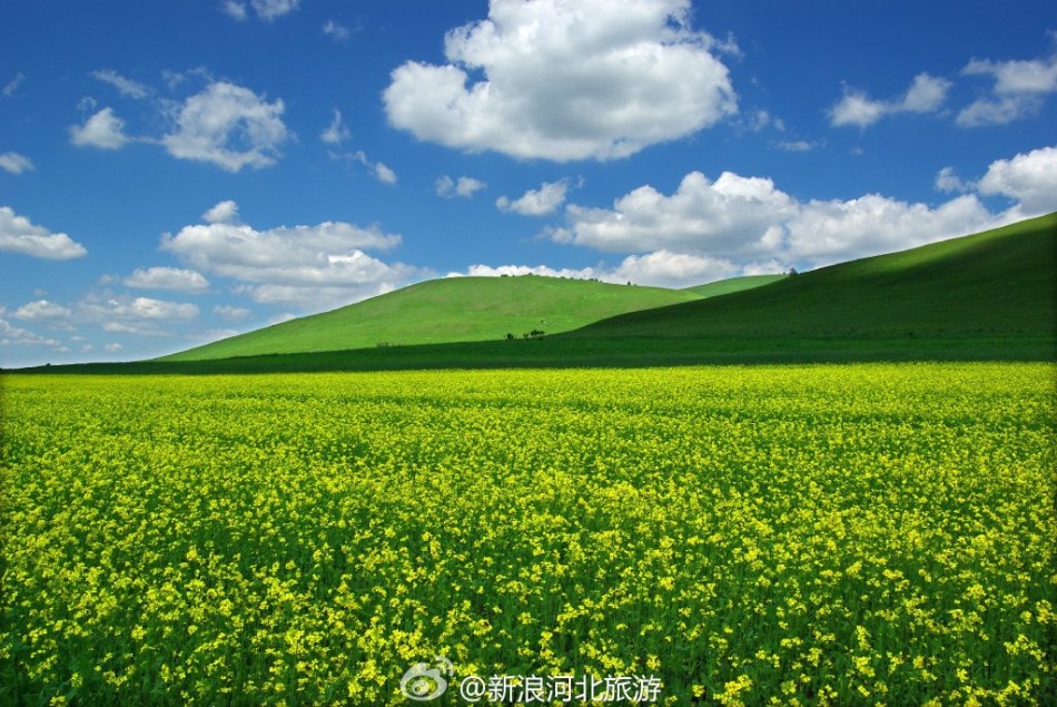 寻觅塞上美景 看木兰围场风景如画