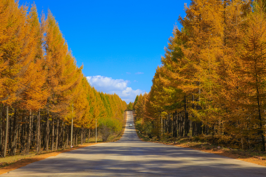 承德围场县 镜头下的最美乡土情