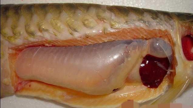 揭秘古今是如何避孕的 不少方法令人"喷饭"