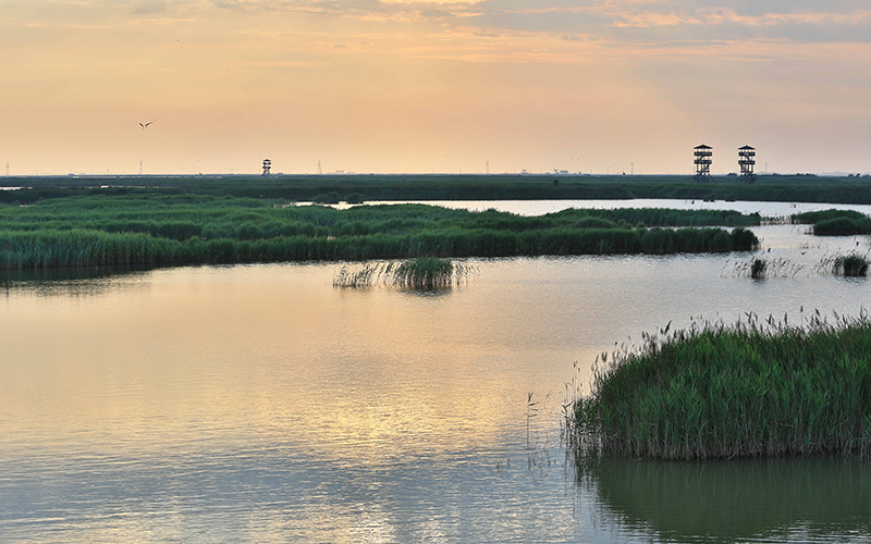 唐山世园会之旅 带你游览曹妃甸湿地美景
