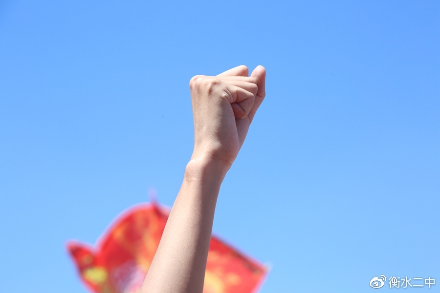 衡水二中举行2017高考出征壮行仪式