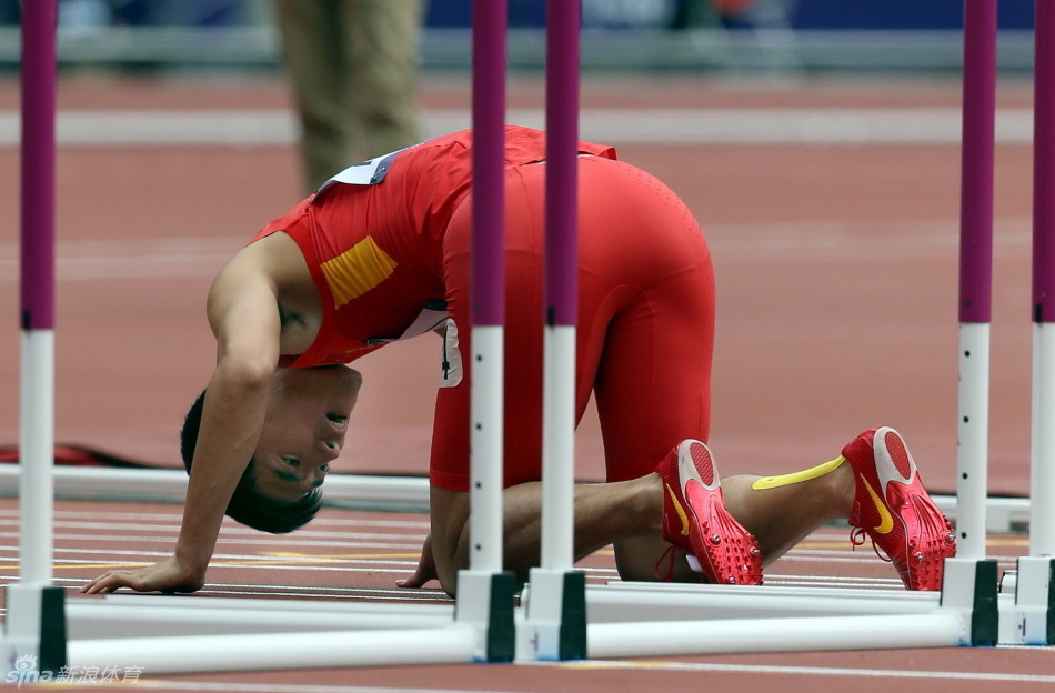 刘翔110米栏意外摔倒被淘汰 图集汇总 > 刘翔摔倒告别伦敦过程回放