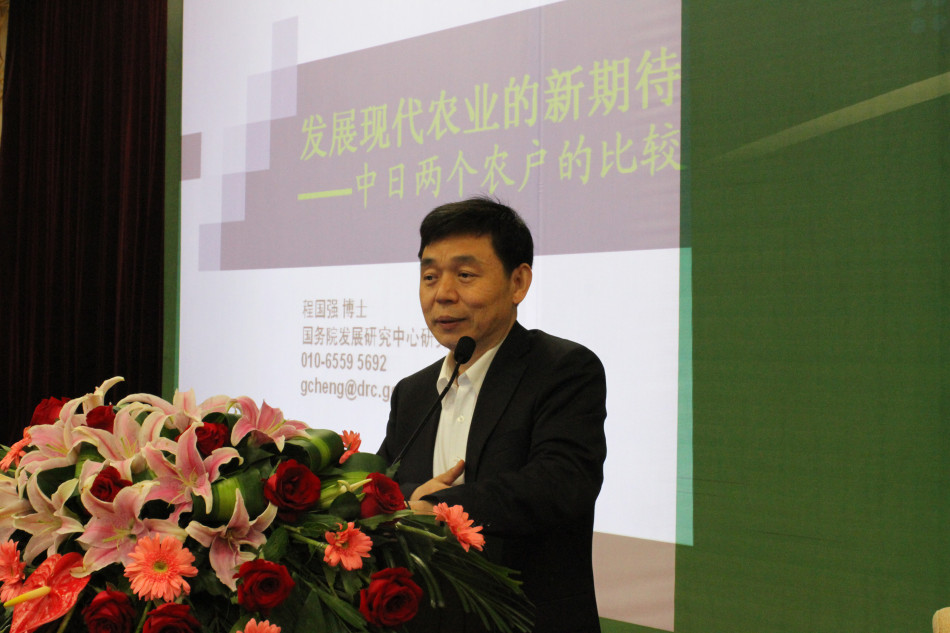 国务院发展研究中心学术委员会秘书长 程国强