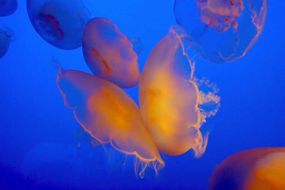 37077_1568716_657899.jpg