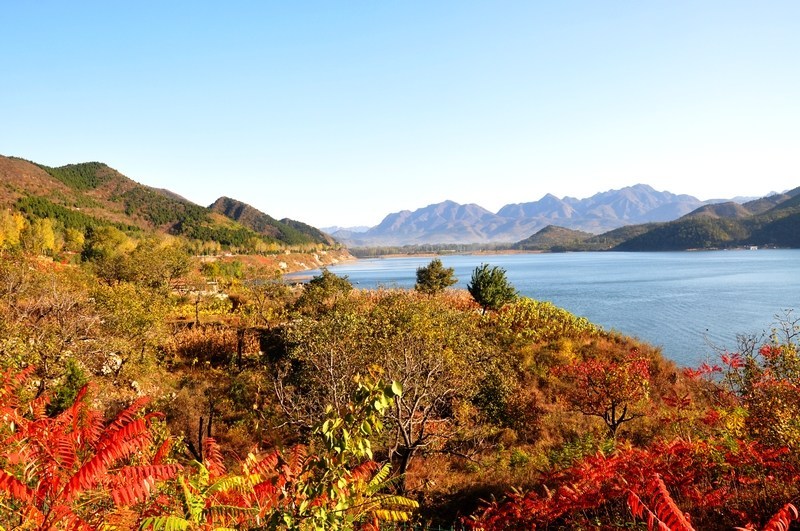 蓟县八仙山观红叶