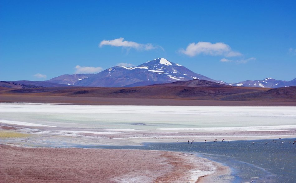 布拉瓦湖阿根廷最美的高原盐湖