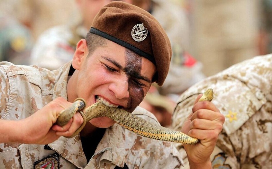 黎巴嫩特种兵为练胆生咬活蛇