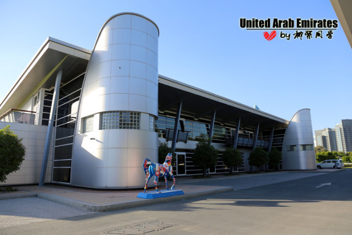 迪拜酋长的顶级黄金马场