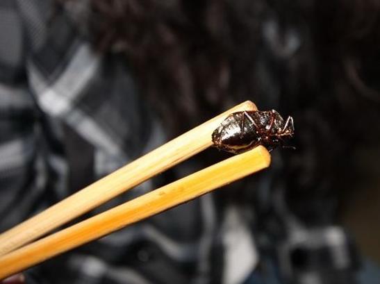 油炸打屁虫看着恶心吃起来美味