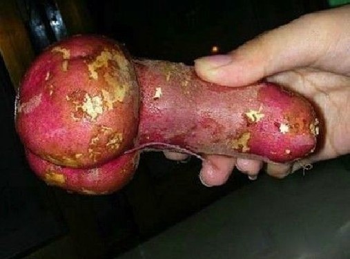 变种蔬菜水果大全 让女生脸红心跳加速
