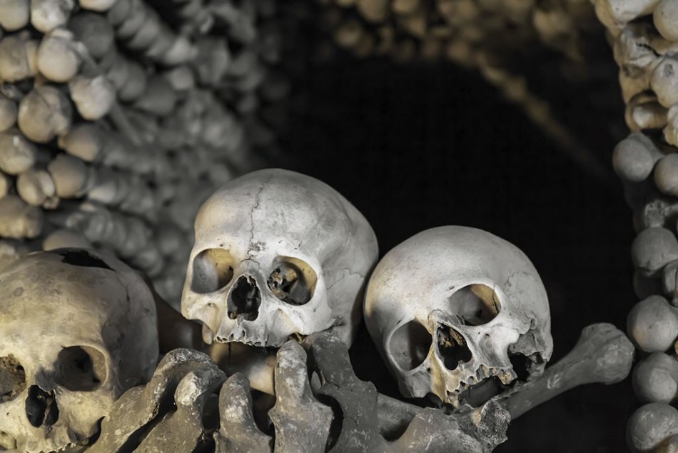 邪恶恐怖的人骨教堂 密集恐惧者慎入