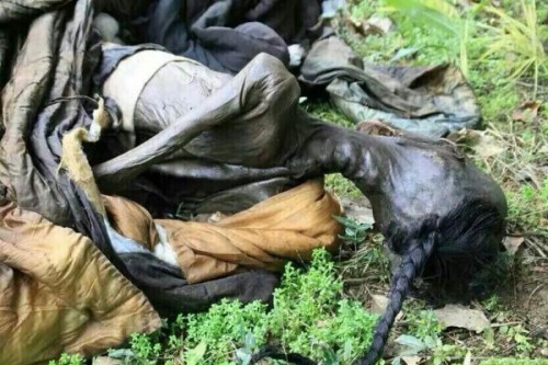 江西广丰现明代石棺男主人似穿官服留长辫