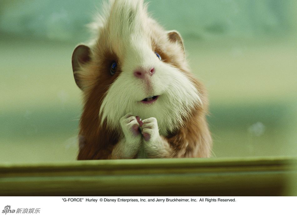 剧照(13)_新浪图集_新浪网