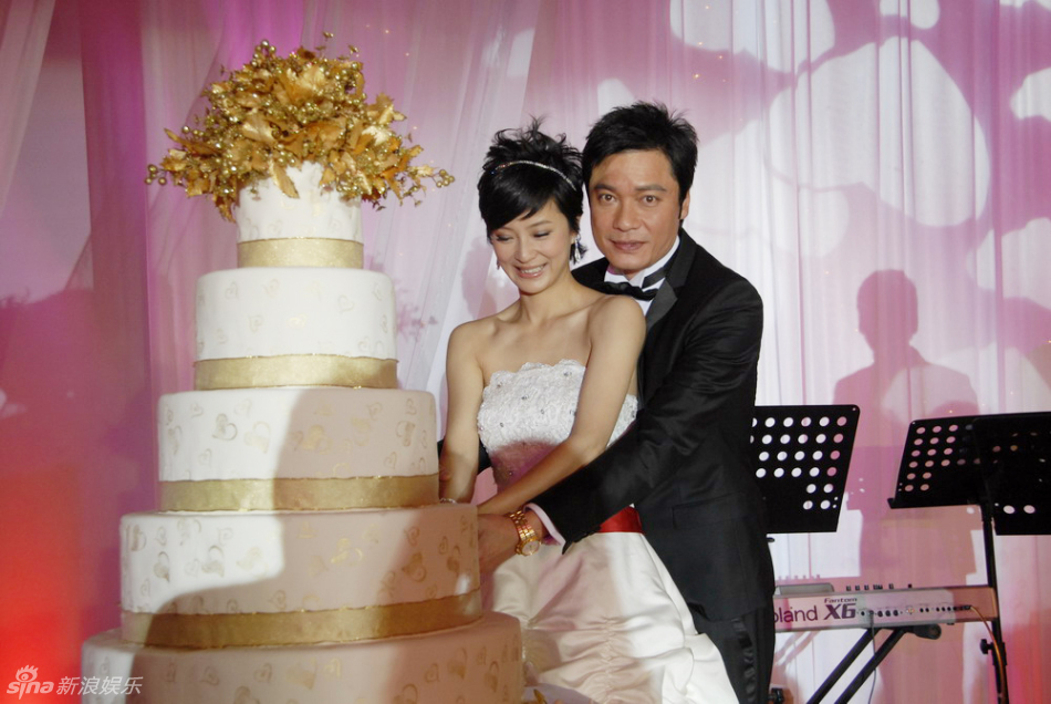 罗嘉良环抱苏岩 (1)