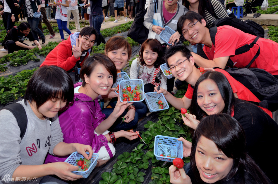 高清组图:梁咏琪庆生与歌迷摘草莓 胞弟现身祝福_高清图集_新浪网
