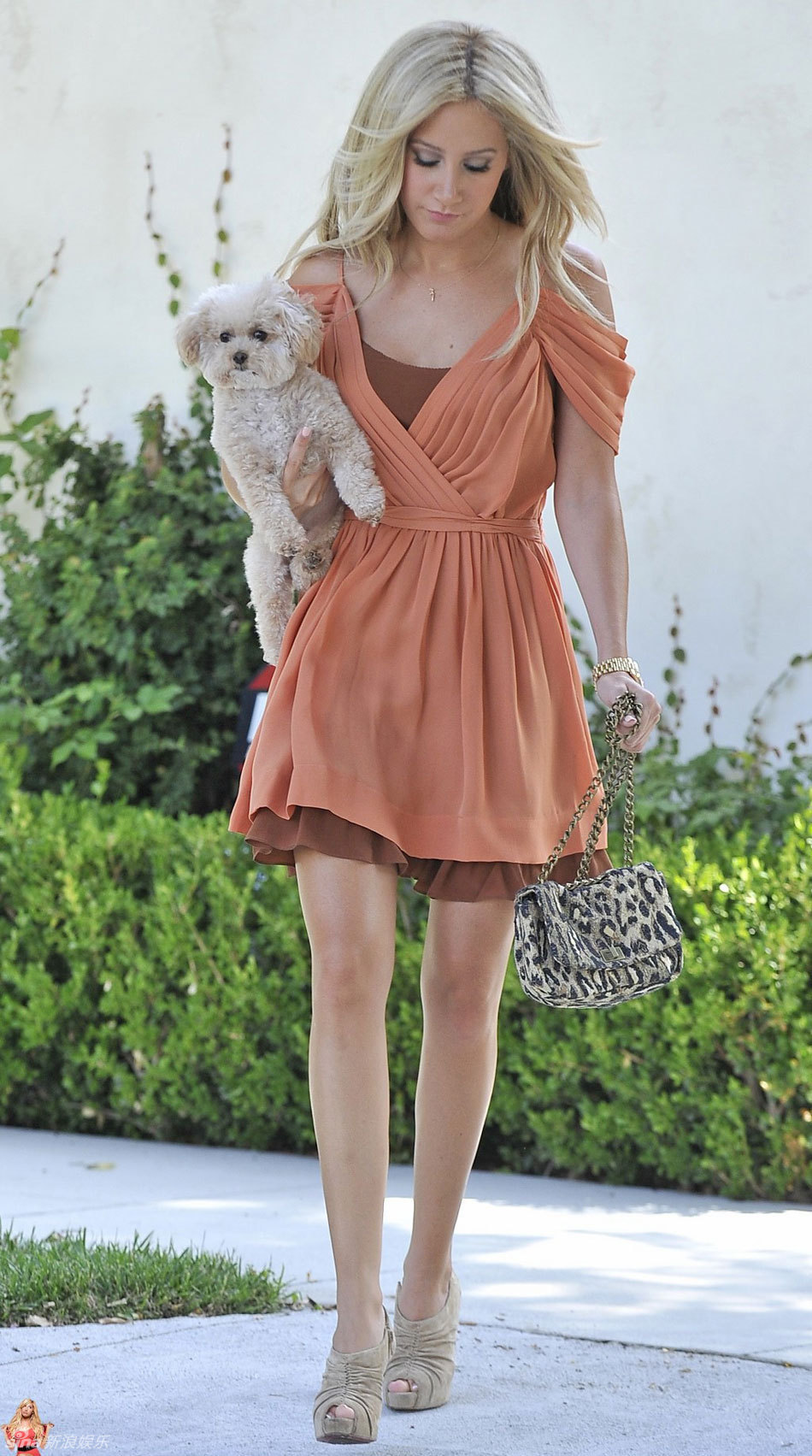 新浪娱乐讯 近日,《歌舞青春》女星阿什丽-提斯代尔身穿橙色露肩裙抱