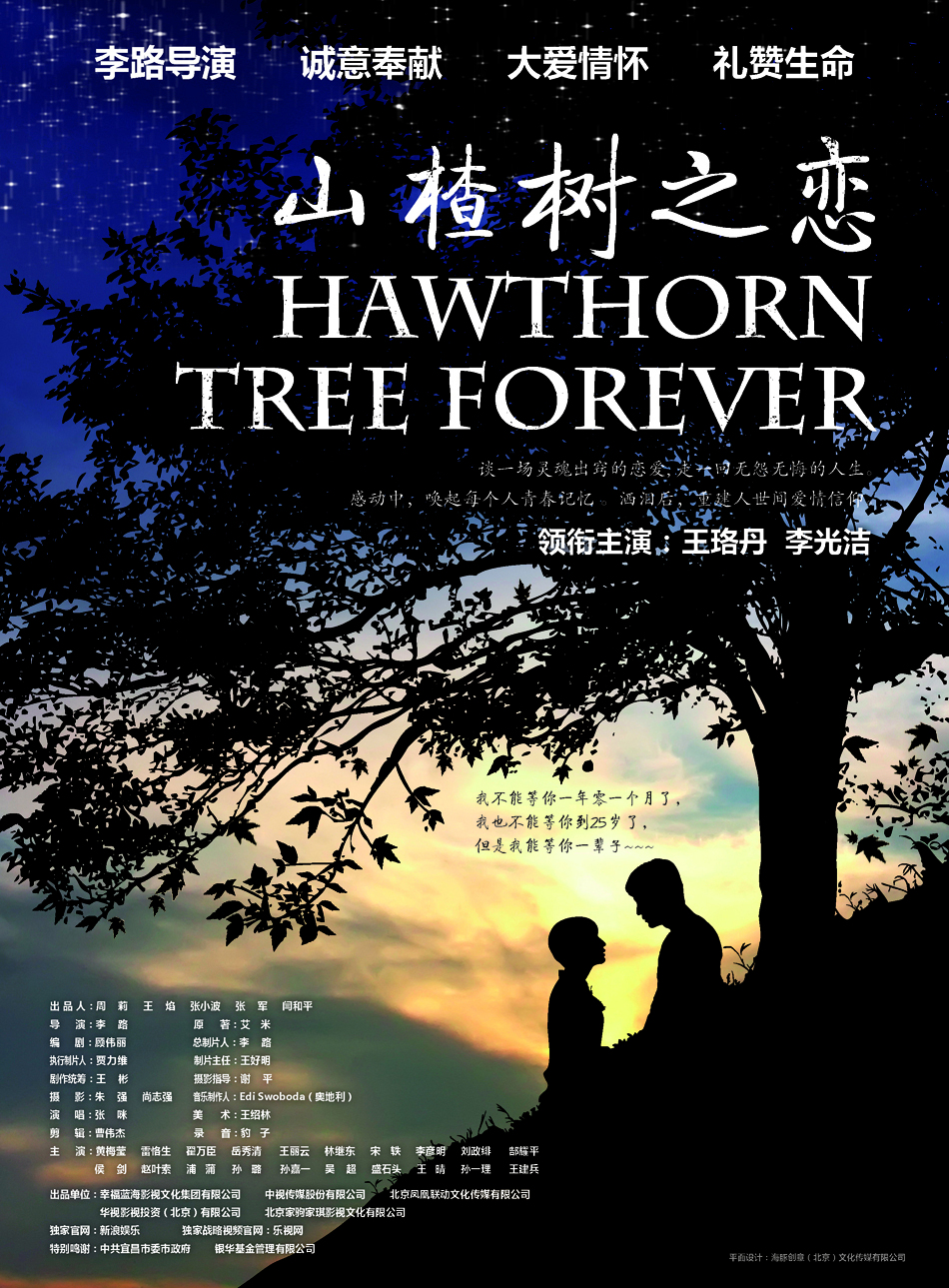 组图:电视剧《山楂树之恋》海报及画册首曝光_高清图集_新浪网