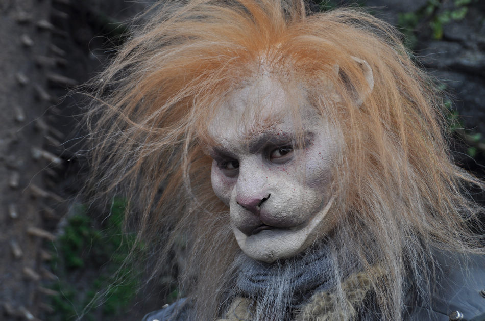 香港收视报告:《西游记》口碑差收视低