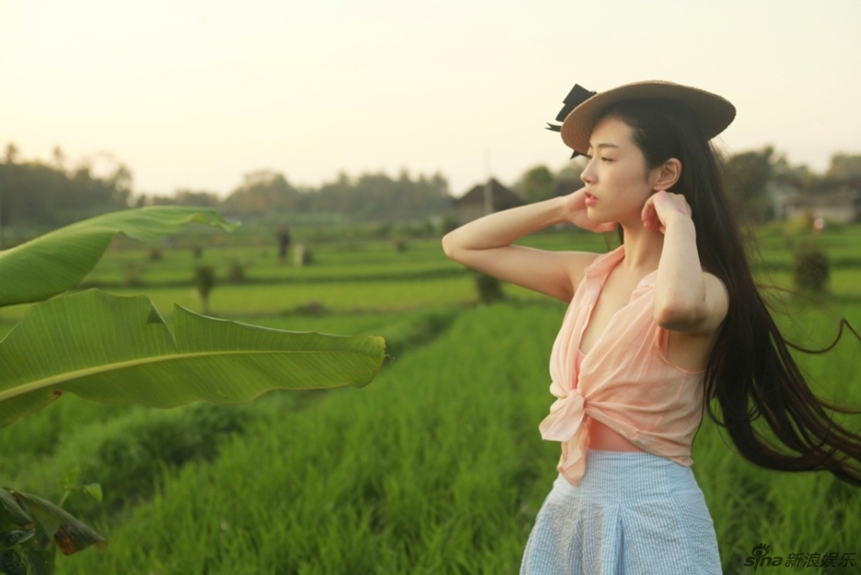 张辛苑田原写真 你是夏日美丽风景