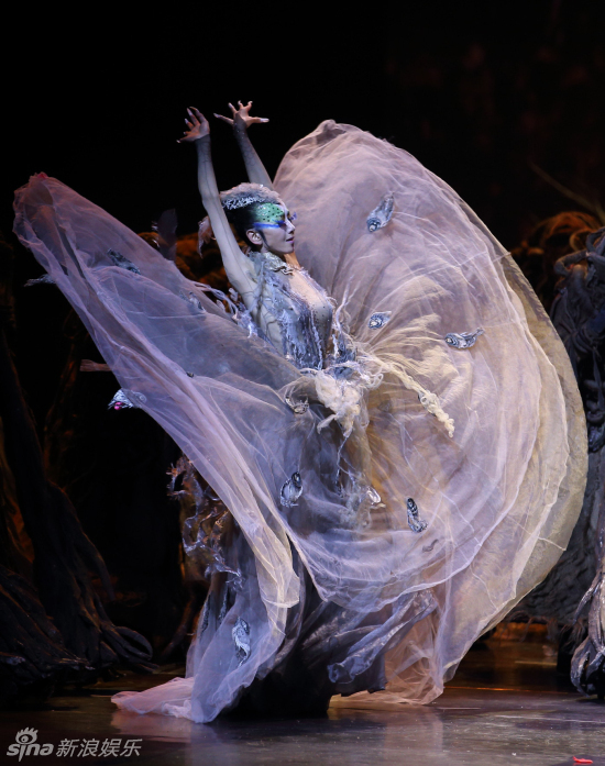 杨丽萍《孔雀》剧照