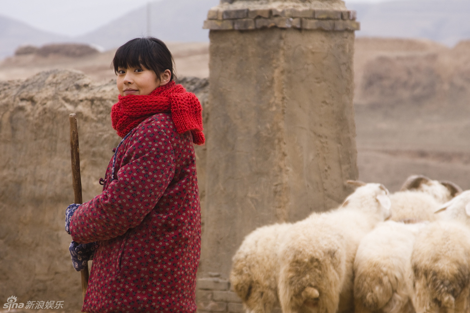 电视剧温州一家人 新浪网