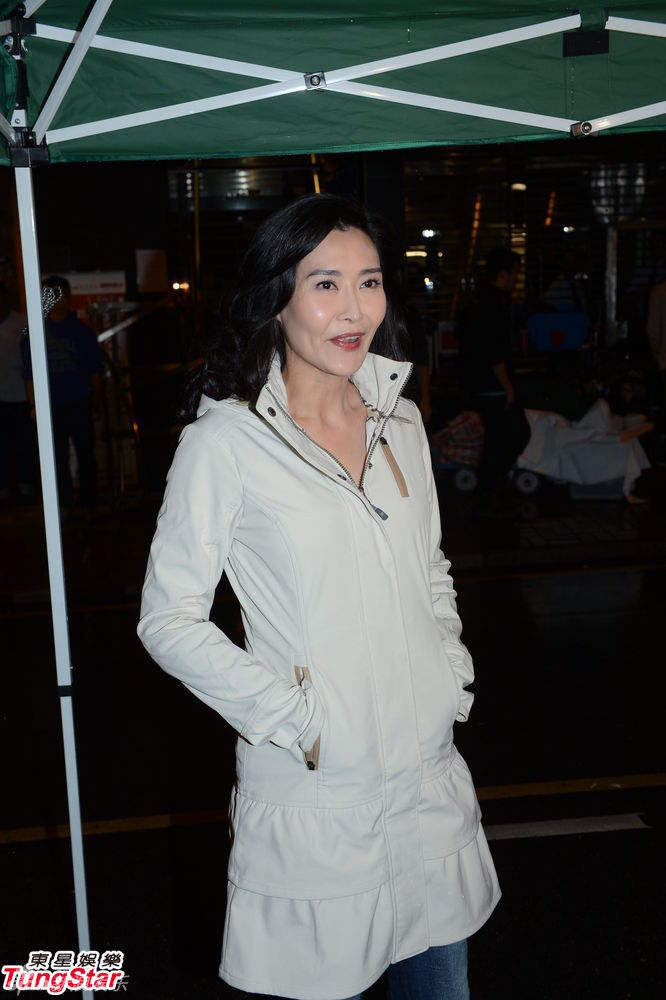 息影女星叶玉卿拍贺岁片