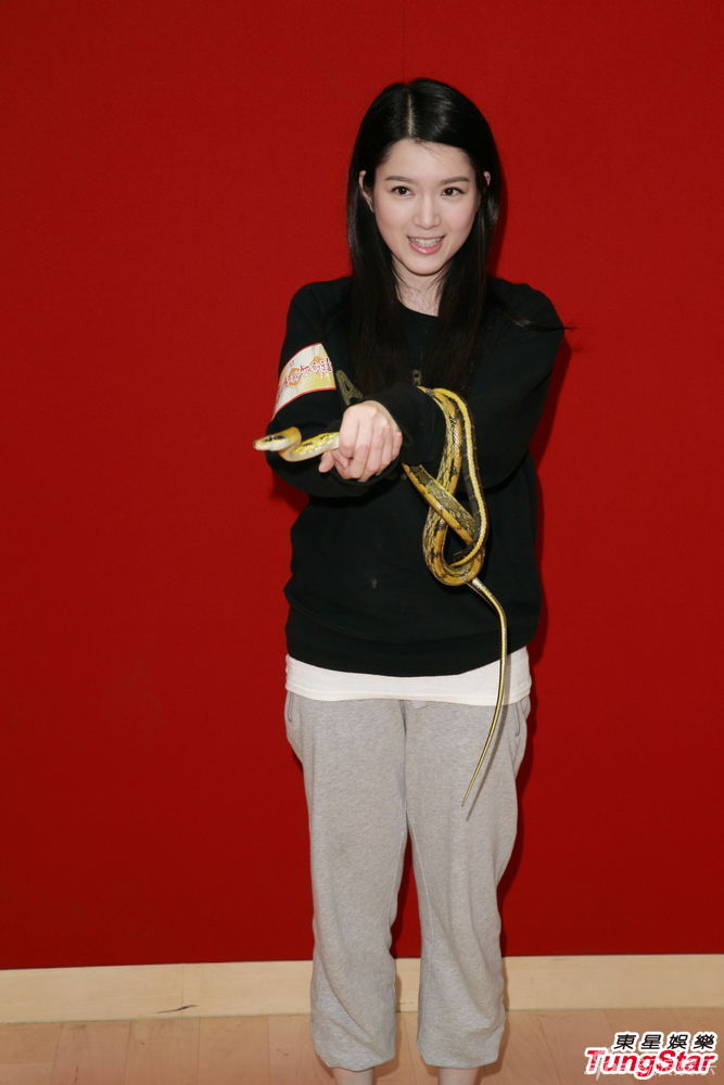 组图:tvb女星做节目大抱活蛇 苟芸慧强忍恐惧_高清图集_新浪网