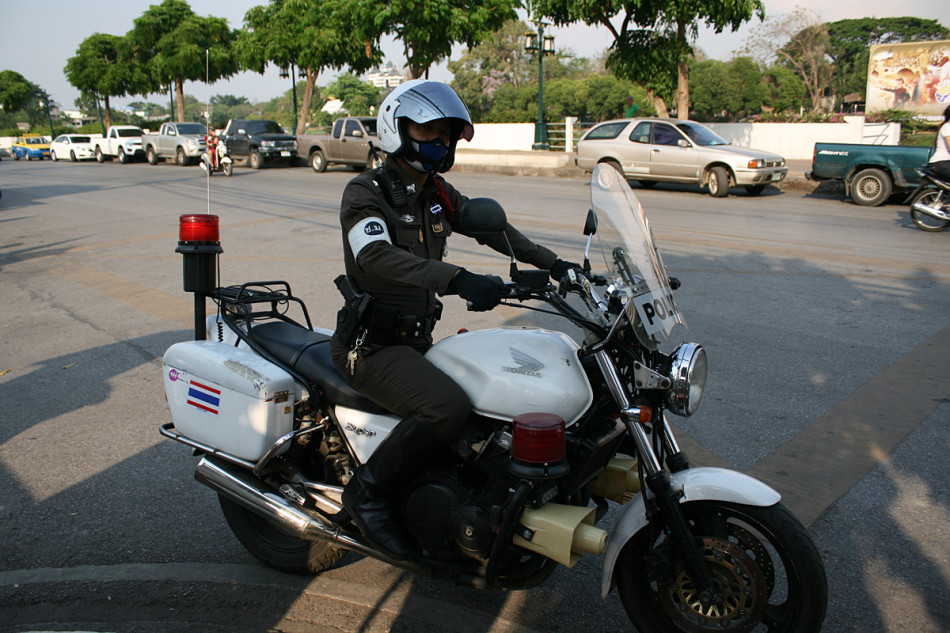 泰国行:清迈欣赏大象画画 参观金色双龙寺_高清图集_新浪网