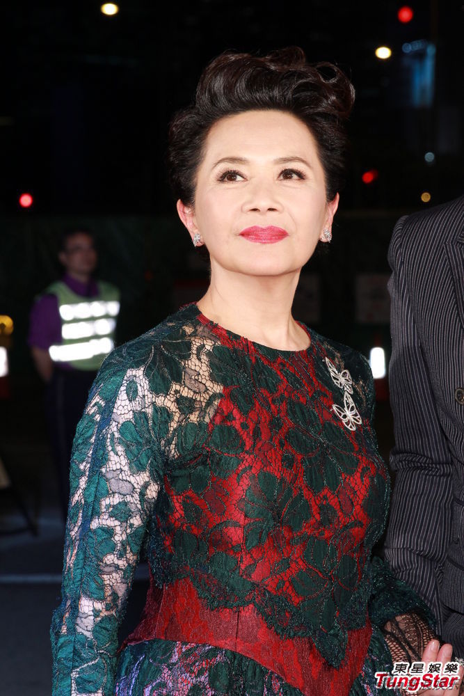 组图:叶德娴蕾丝裙端庄高贵亮相红毯_高清图集_新浪网