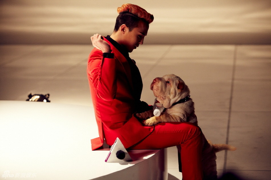 新浪娱乐讯 bigbang成员g-dragon带着和家虎长相相似的laso拍广告.