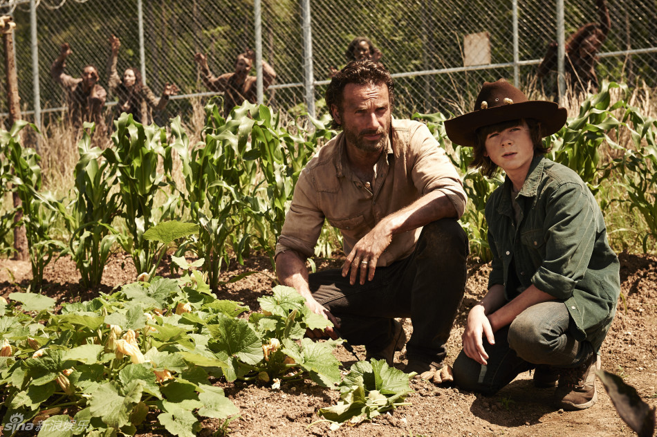 组图:《行尸走肉》新季剧照曝光 僵尸群攻监狱_高清图集_新浪网