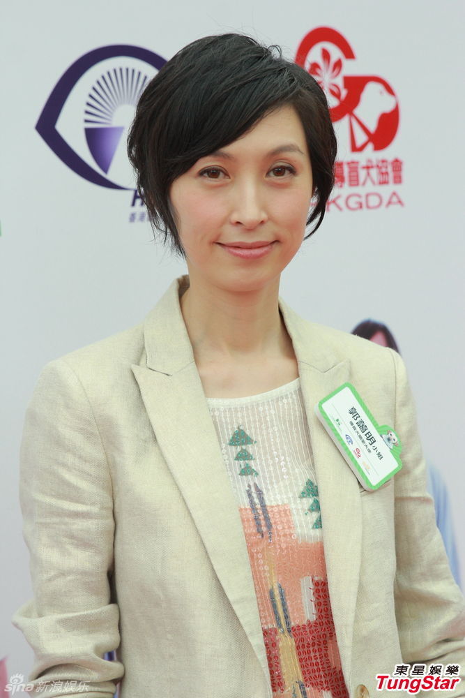 郭蔼明认tvb曾接洽拍剧 获刘青云支持