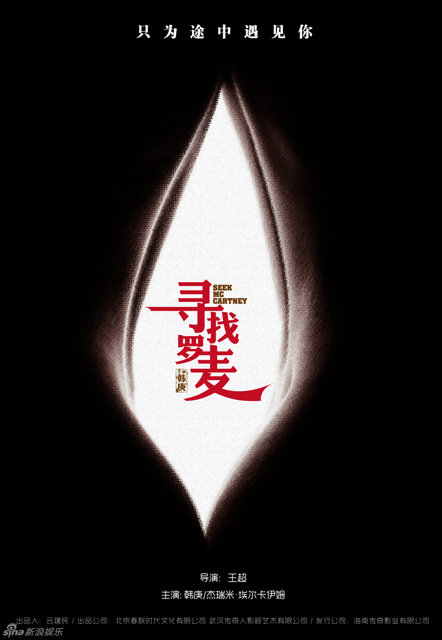 寻找罗麦概念海报眼睛篇