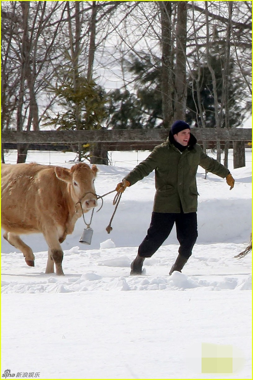 组图:暮光男帕丁森冰天雪地拍戏 牵牛狂奔_高清图集_新浪网