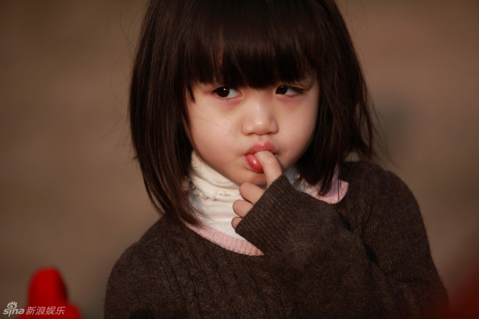 回顾考拉可爱萌照,可爱呆萌十分惹人喜爱.