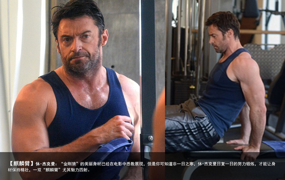 公狗腰人鱼线爱之把:男神必备杀手锏(组图)_高清图集_新浪网