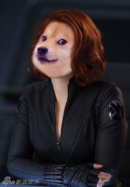 梁静茹撞与doge神态惊人地相似