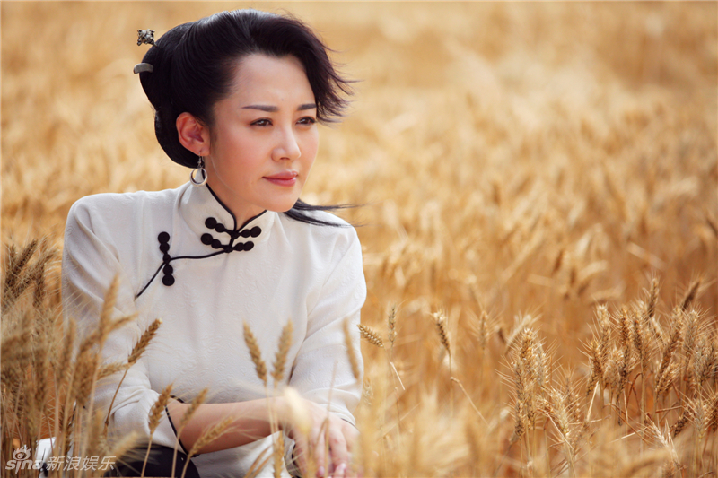 组图:《来势凶猛》曝许晴麦田守望剧照