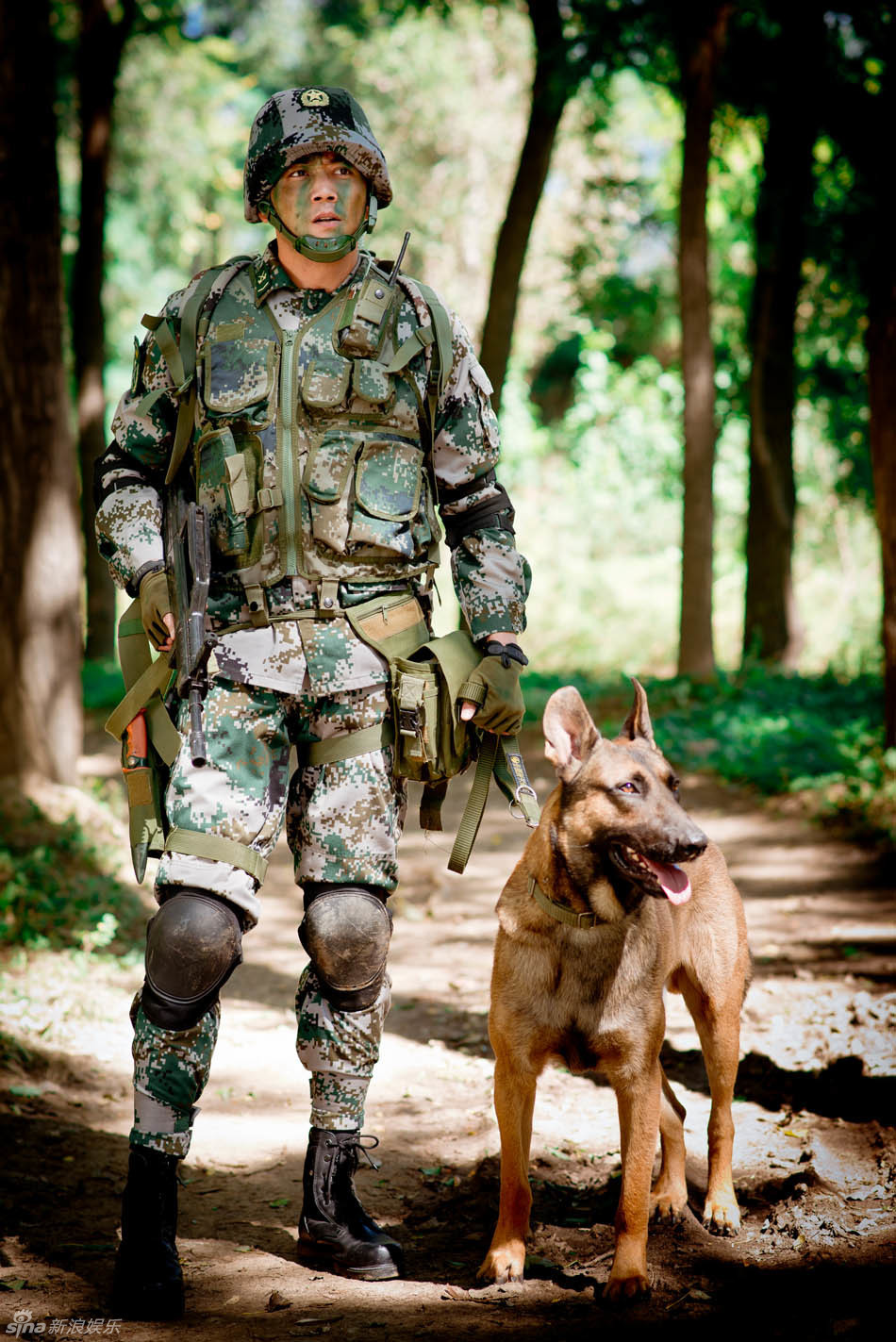 组图:杨烁《神犬奇兵》热播 汪爸萌犬沙漠野战