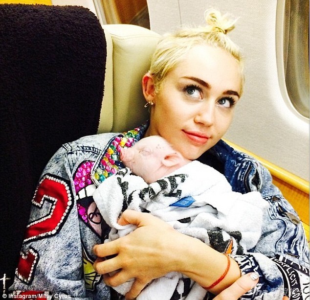 歌手麦莉(miley cyrus)获得新宠物,难掩激动之情疯狂秀自拍,并与小猪