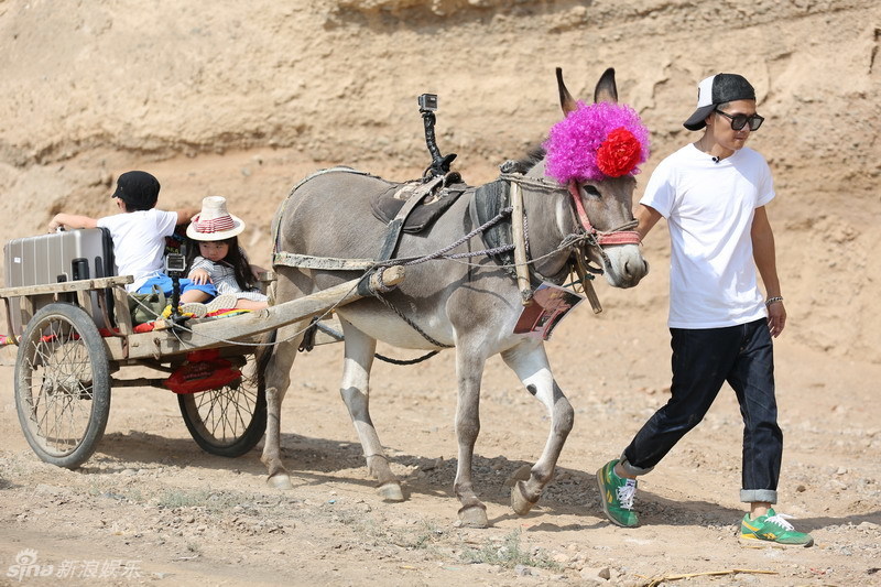 吴三岁跟驴子交朋友 唤小乖乖