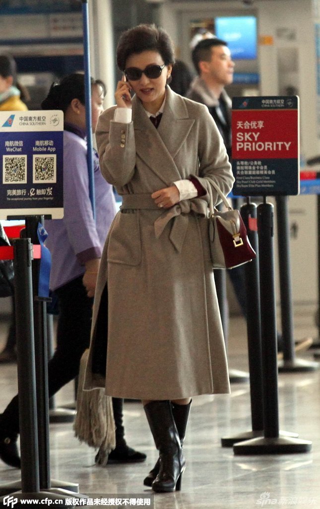 新浪娱乐讯 上海,早前,杨澜独自一人现身机场.