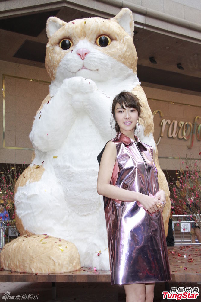 新浪娱乐讯 薛凯琪跟猫明星忌帘哥一起出席新年活动,被问到好友房祖名