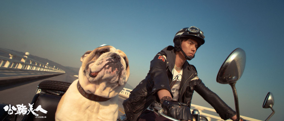 组图:《公路美人》齐溪张念骅上演香艳车震戏_高清图集_新浪网