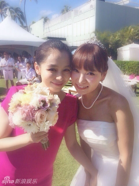 徐若瑄怀孕 日星送祝福