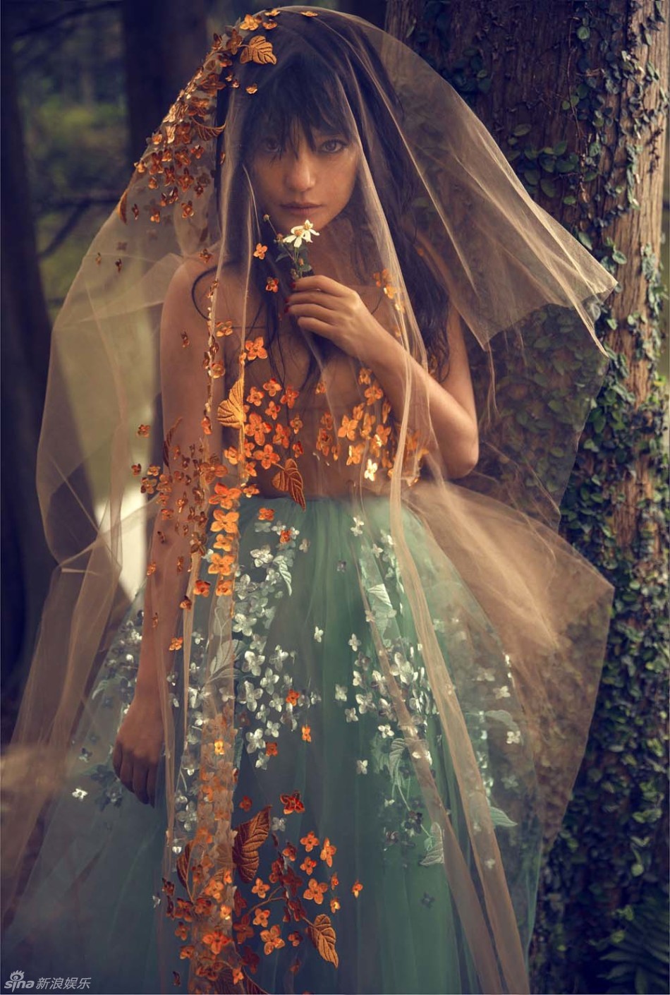 赵薇烟熏妆变吉普赛女郎 野性妩媚_高清图集_新浪网