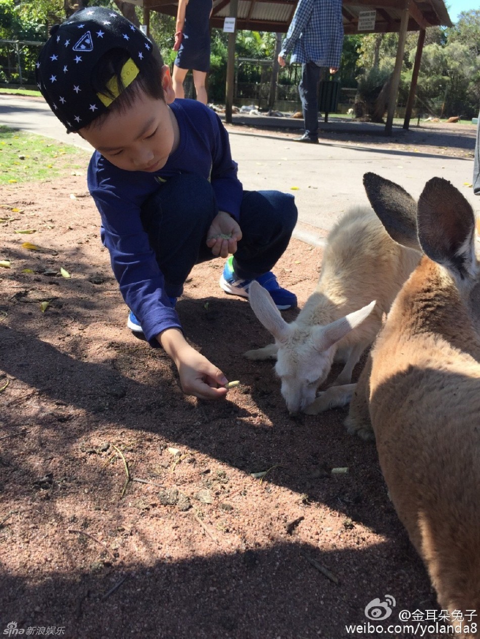组图:王宝强一家游澳洲 娇妻秀美腿儿子喂动物_高清图集_新浪网